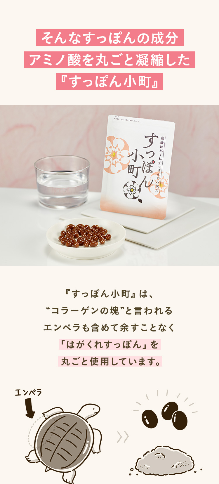 そんなすっぽんの成分 アミノ酸を丸ごと凝縮した『すっぽん小町』