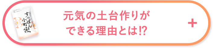 元気の土台作りができる理由とは！？