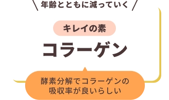 年齢とともに減っていく キレイの素 コラーゲン 酵素分解でコラーゲンの吸収率が良いらしい