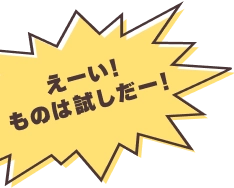 えーい!ものは試しだー!