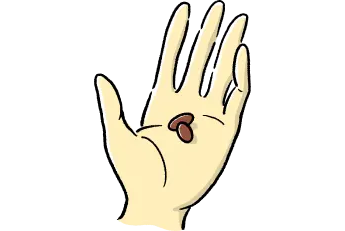 すっぽん小町を手に取っているイラスト