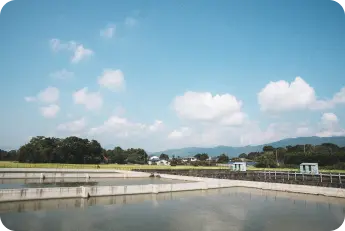 すっぽん養殖場の写真