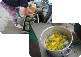 すっぽんのエサの写真