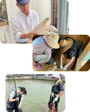 実際に私が養殖場に伺った際の写真