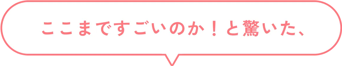 ここまですごいのか！と驚いた