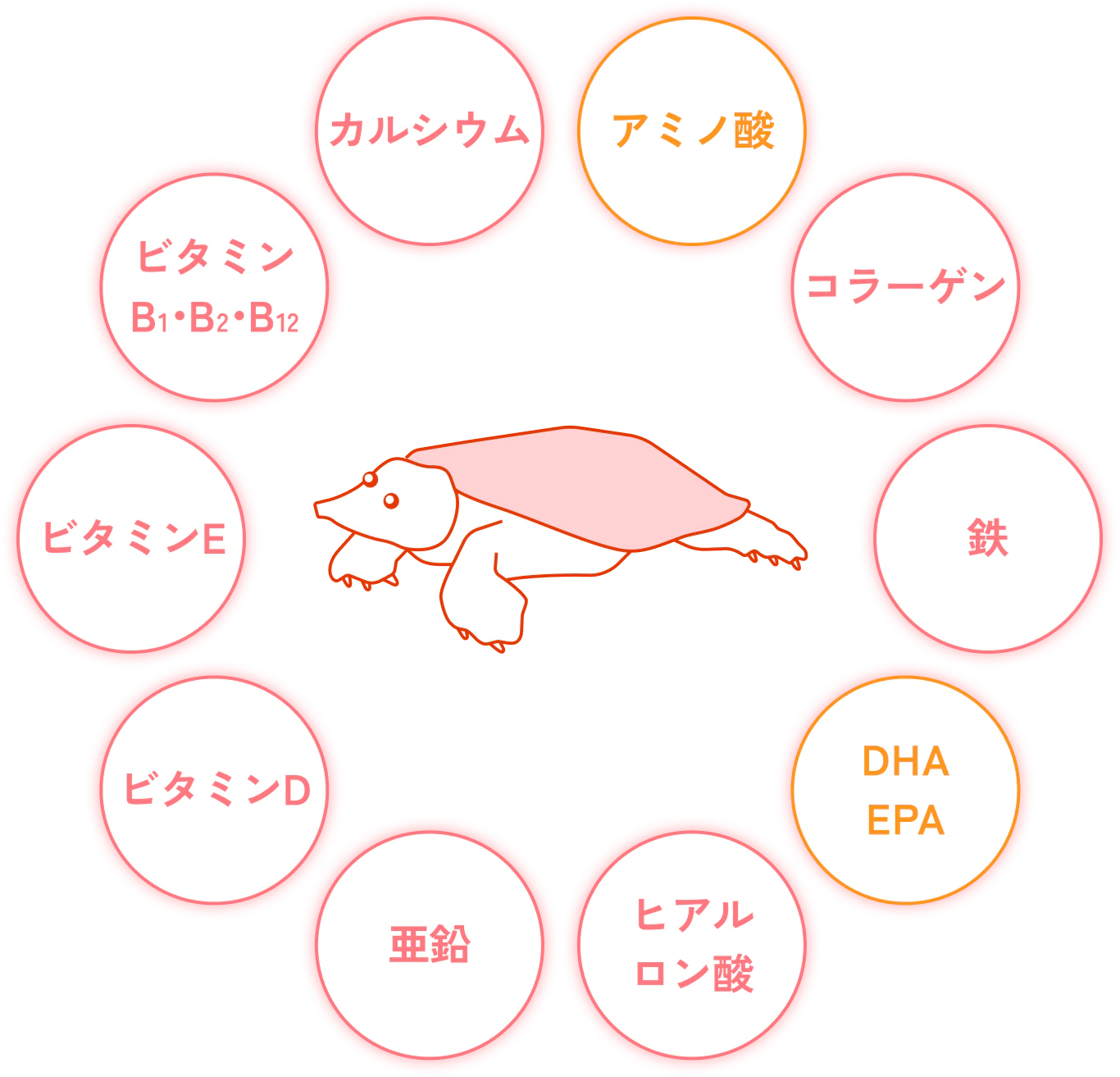 成分図：アミノ酸、コラーゲン、鉄、DHA、EPA、ヒアルロン酸、亜鉛、ビタミンD、ビタミンE、ビタミンB1・B2・B12、カルシウム