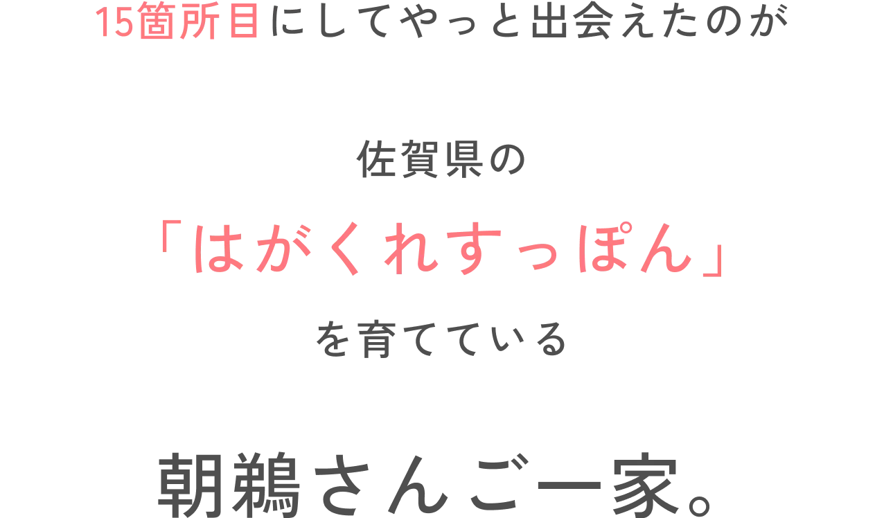 15箇所目にしてやっと出会えたのが佐賀県の「はがくれすっぽん」を育てている朝鵜さんご一家。