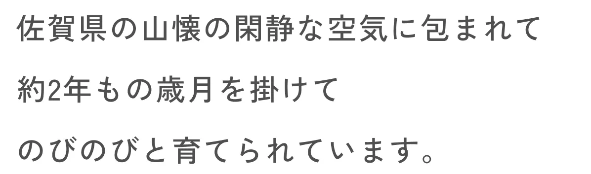 佐賀県の山懐の閑静な空気に包まれて約2年もの歳月を掛けてのびのびと育てられています。