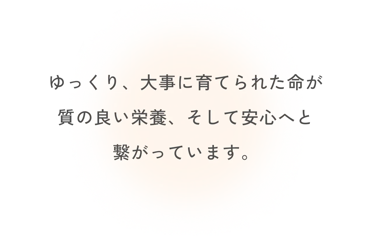 ゆっくり、大事に育てられた命が質の良い栄養、そして安心へと繋がっています。