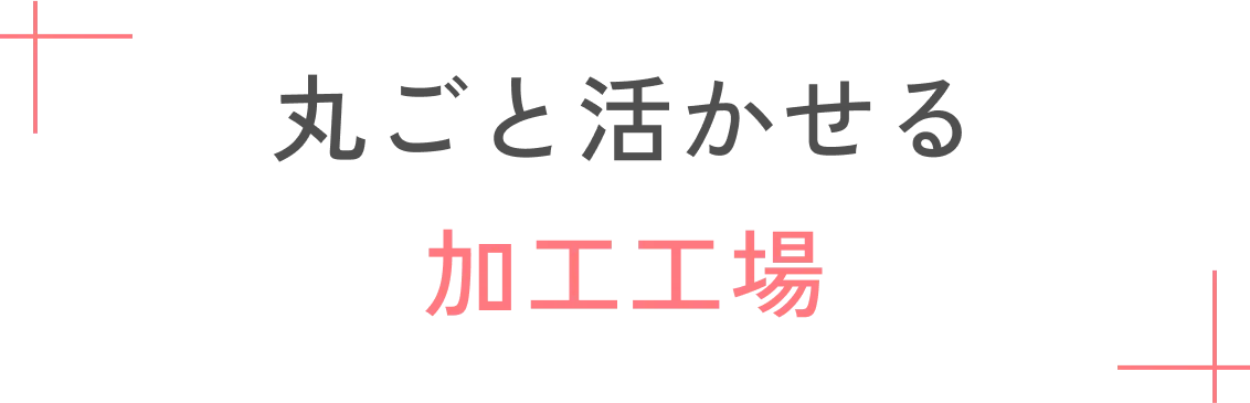 丸ごと活かせる加工工場