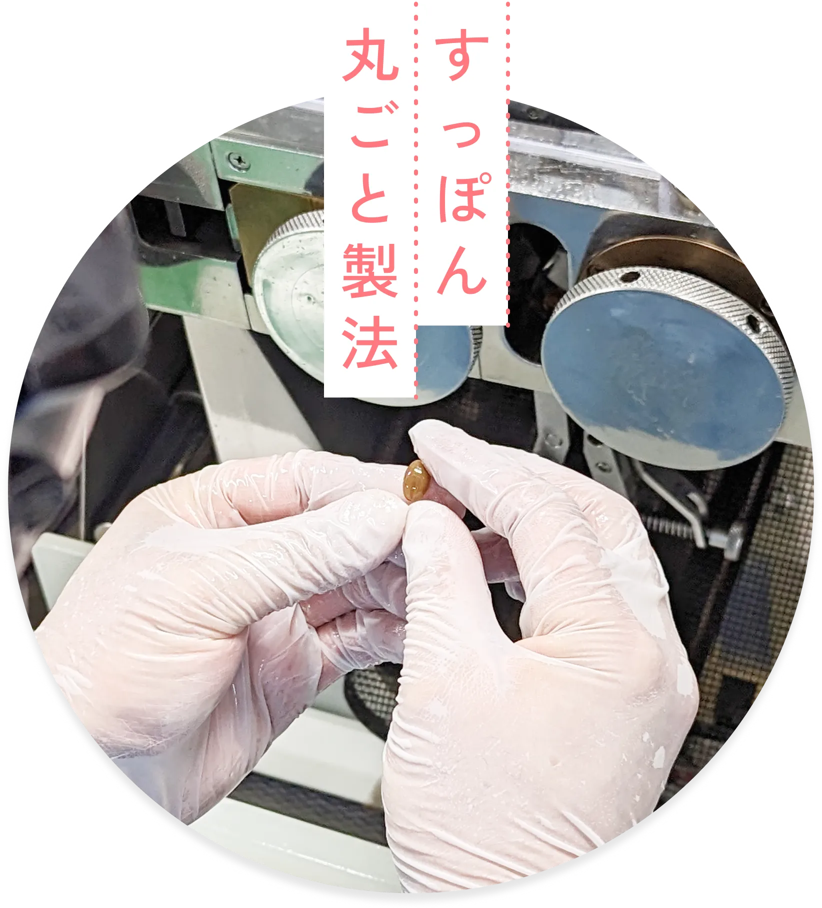 すっぽん丸ごと製法