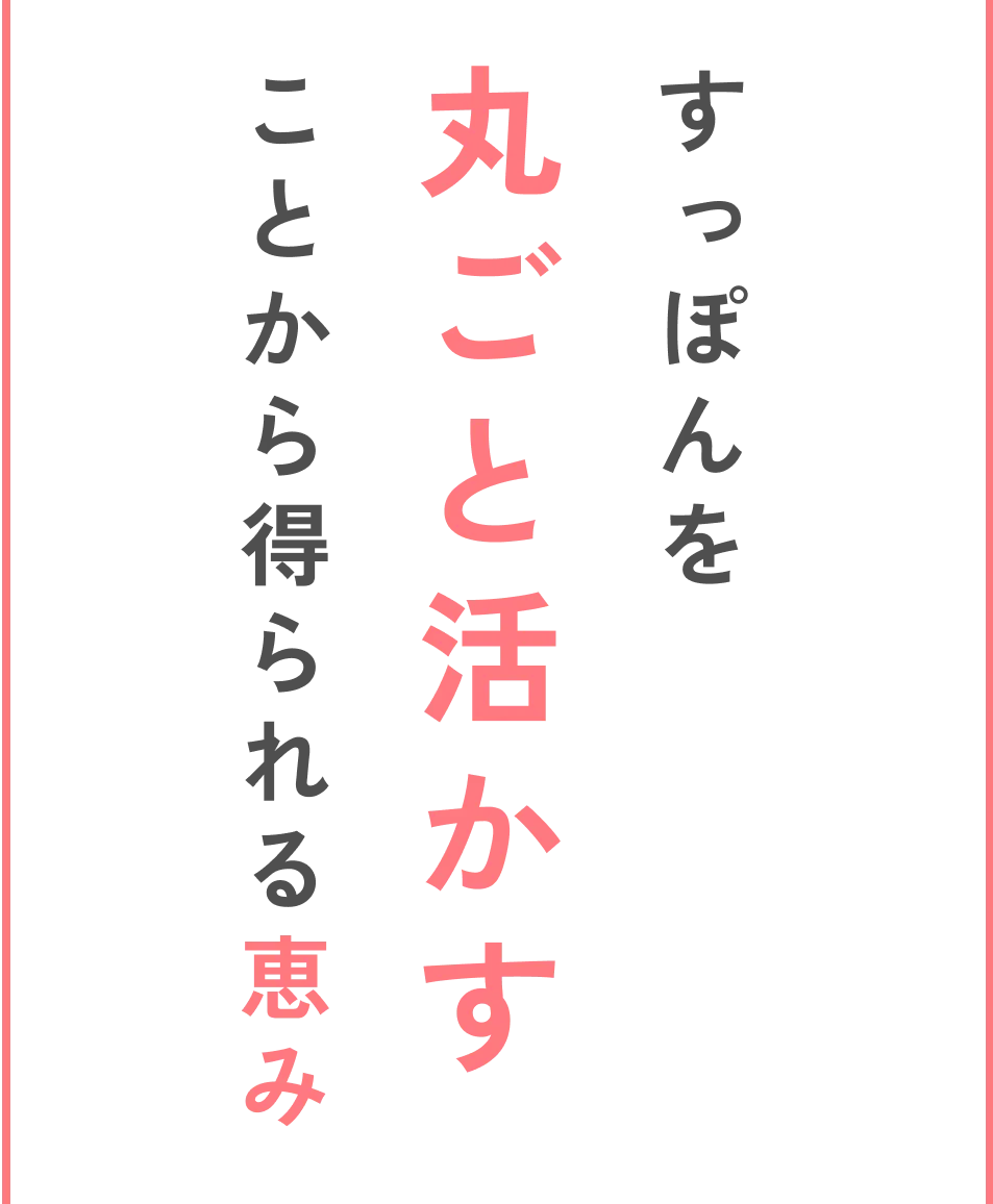 すっぽんを丸ごと活かすことから得られる恵み