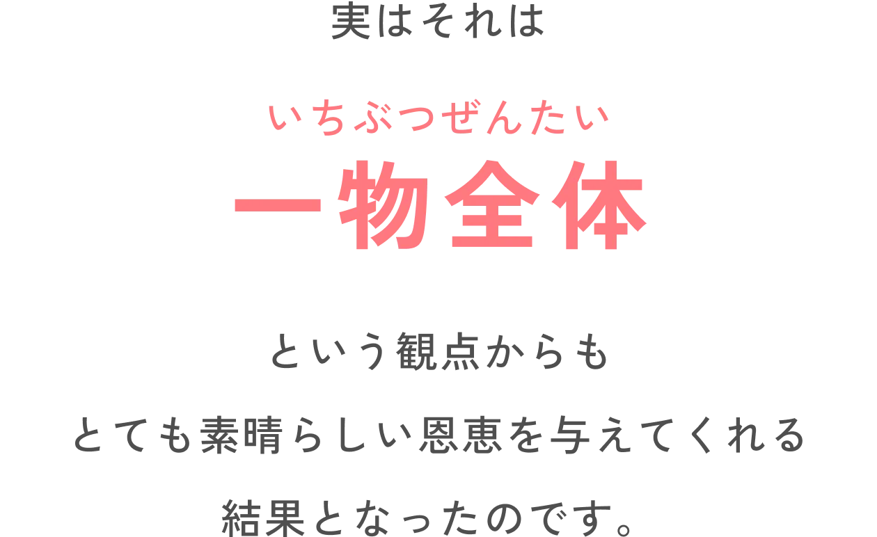 実はそれは一物全体という観点からもとても素晴らしい恩恵を与えてくれる結果となったのです。