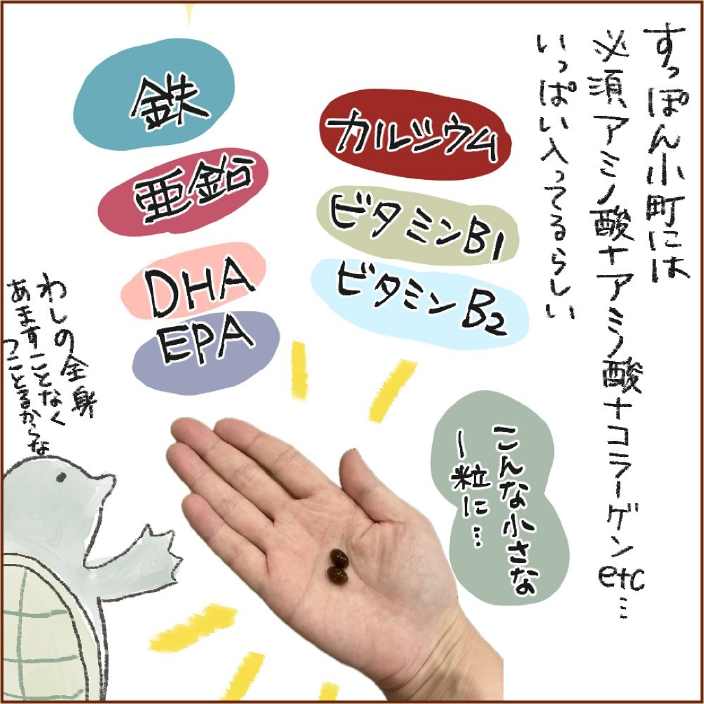 すっぽん小町には必須アミノ酸＋アミノ酸＋コラーゲンetc…いっぱい入ってるらしい