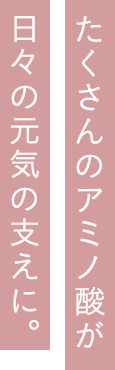 たくさんのアミノ酸が日々の元気の支えに