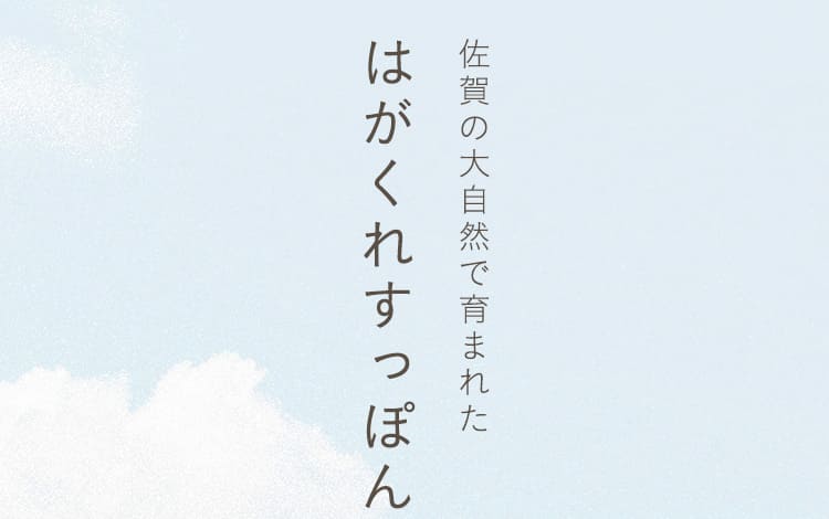 佐賀の大自然で育まれたはがくれすっぽん