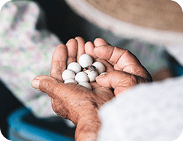 生産者イメージ