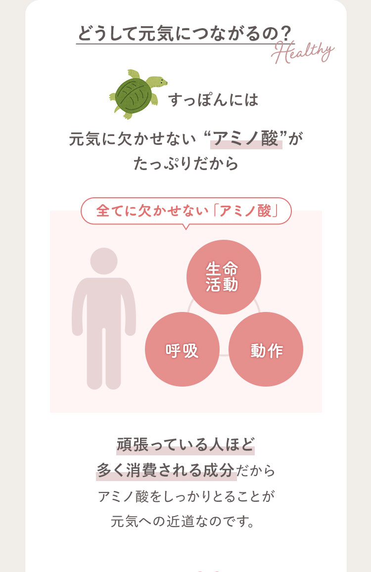 どうして元気につながるの? すっぽんには 元気に欠かせない “アミノ酸”が たっぷりだから 全てに欠かせない「アミノ酸」生命活動 呼吸 動作 頑張っている人ほど多く消費される成分だから アミノ酸をしっかりとることが 元気への近道なのです。
