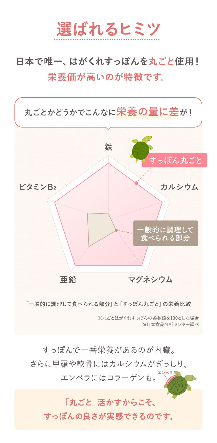選ばれるヒミツ 日本で唯一、はがくれすっぽんを丸ごと使用! 栄養価が高いのが特徴です。丸ごとかどうかでこんなに栄養の量に差が!「一般的に調理して食べられる部分」と「すっぽん丸ごと」の栄養比較 ※丸ごとはがくれすっぽんの各数値を100とした場合※日本食品分析センター調べ すっぽんで一番栄養があるのが内臓。さらに甲羅や軟骨にはカルシウムがぎっしり、 エンペラにはコラーゲンも。「丸ごと」活かすからこそ、すっぽんの良さが実感できるのです。
