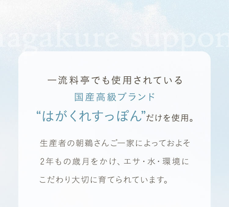 一流料亭でも使用されている国産高級ブランド”はがくれすっぽん”だけを使用