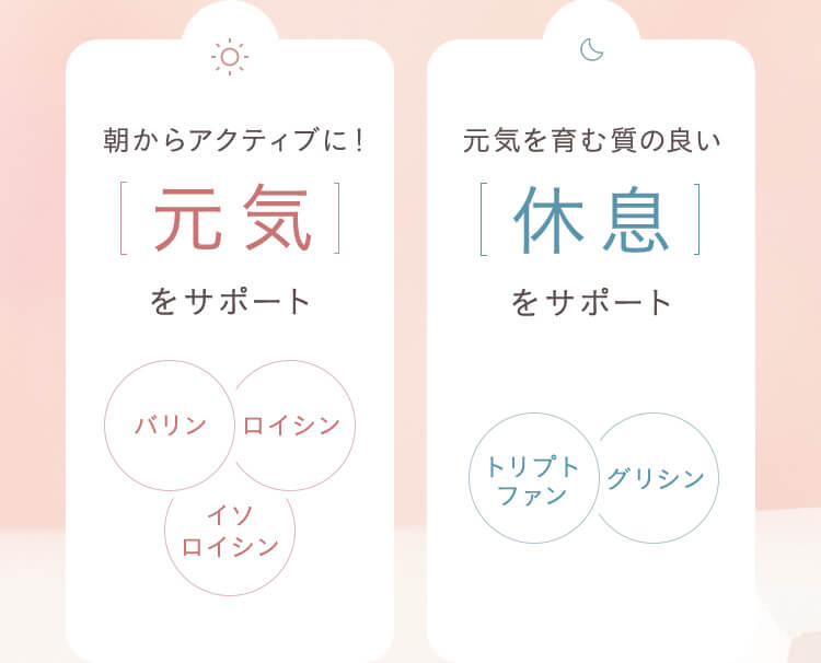 元気をサポート／休息をサポート