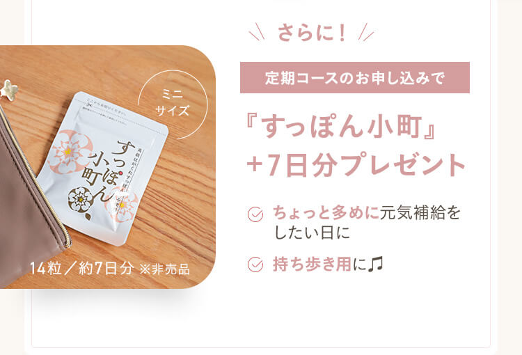 定期コースのお申し込みで